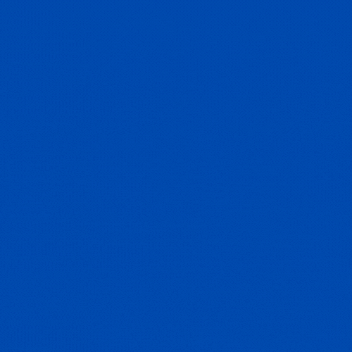 Buy Parrots Online